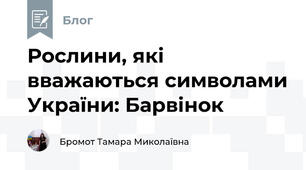 Рослини, які вважаються символами України: Барвінок 
