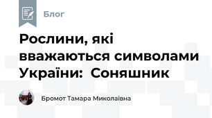 Рослини, які вважаються символами України:  Соняшник