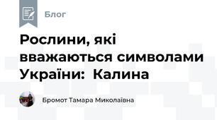 Рослини, які вважаються символами України:  Калина 