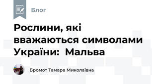 Рослини, які вважаються символами України:  Мальва 