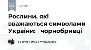 Рослини, які вважаються символами України:   чорнобривці