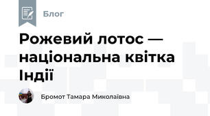 Рожевий лотос — національна квітка Індії