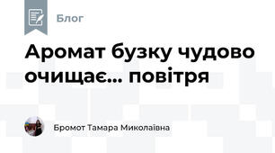 Аромат бузку чудово очищає... повітря