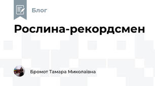 Рослина-рекордсмен