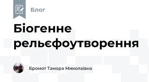 Біогенне рельєфоутворення