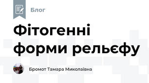 Фітогенні форми рельєфу