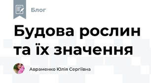 Будова рослин та їх значення
