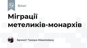Міграції метеликів-монархів