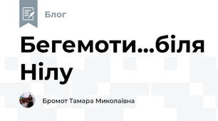 Бегемоти...біля Нілу
