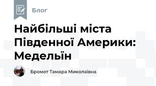 Найбільші міста Південної Америки: Медельїн
