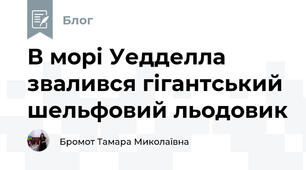 В морі Уедделла звалився гігантський шельфовий льодовик