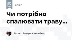Чи потрібно спалювати траву...