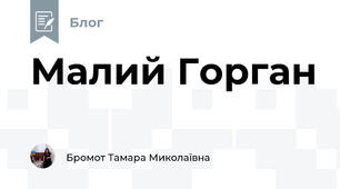 Малий Горган