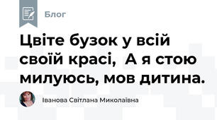 Цвіте бузок у всій своїй красі,  А я стою милуюсь, мов дитина.