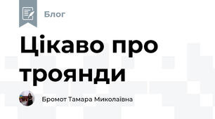 Цікаво про троянди
