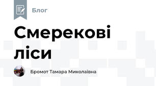Смерекові ліси