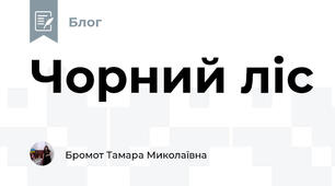 Чорний ліс