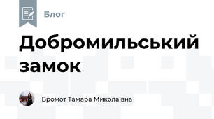 Добромильський замок