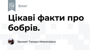 Цікаві факти про бобрів.