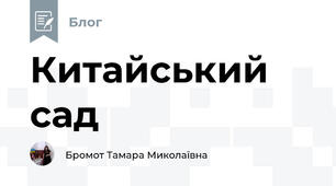 Китайський сад