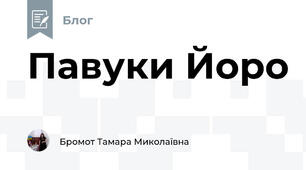 Павуки Йоро