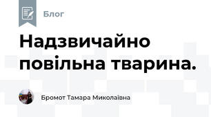 Надзвичайно повільна тварина. 
