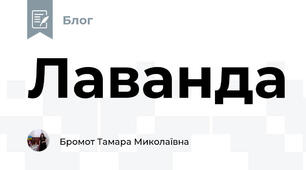 Лаванда