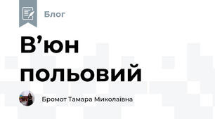В’юн польовий