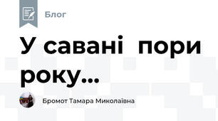 У савані  пори року...