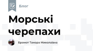 Морські черепахи