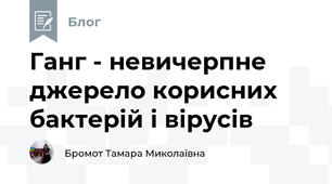 Ганг - невичерпне джерело корисних бактерій і вірусів 