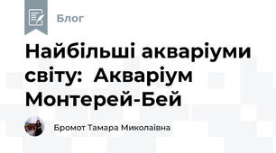 Найбільші акваріуми  світу:  Акваріум Монтерей-Бей 