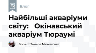 Найбільші акваріуми  світу:   Окінавський акваріум Тюраумі