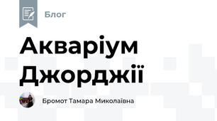 Акваріум Джорджії 