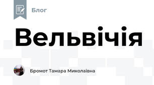 Вельвічія
