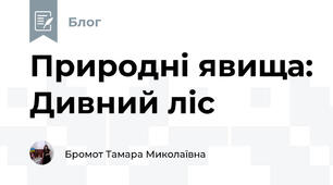 Природні явища: Дивний ліс