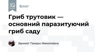 Гриб трутовик — основний паразитуючий гриб саду