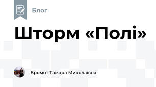 Шторм «Полі» 