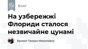 На узбережжі Флориди сталося незвичайне цунамі