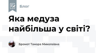 Яка медуза найбільша у світі?