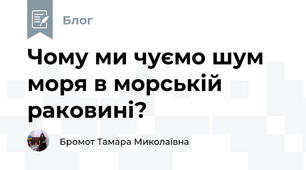 Чому ми чуємо шум моря в морській раковині?