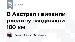 В Австралії виявили рослину завдовжки 180 км