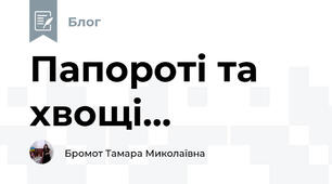 Папороті та хвощі...