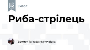 Риба-стрілець