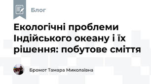 Екологічні проблеми Індійського океану і їх рішення: побутове сміття