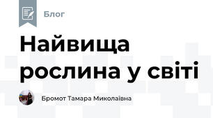 Найвища рослина у світі