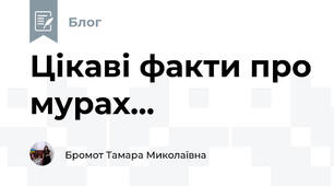 Цікаві факти про мурах...