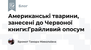 Американські тварини, занесені до Червоної книги:Грайливий опосум