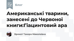 Американські тварини, занесені до Червоної книги:Гіацинтовий ара
