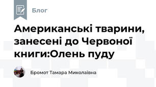 Американські тварини, занесені до Червоної книги:Олень пуду